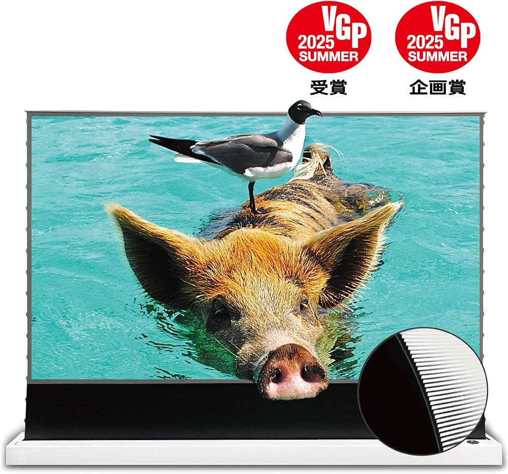 Amazon.co.jp: VIVIDSTORM SCREEN S PRO 超短焦点レザープロジェクター